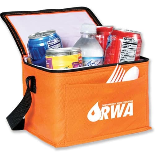 China sac cooler izolat