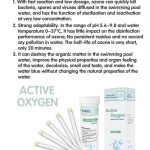 Carta per il test dell'ozono in piscina Strisce per il test dell'acqua di terme e vasche idromassaggio con ozono Strisce per il test dell'acqua con ossigeno attivo