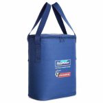 insulated wine lunch cooler bag for picnic beach travel 2