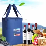 insulated wine lunch cooler bag for picnic beach travel 3