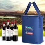 insulated wine lunch cooler bag for picnic beach travel 4