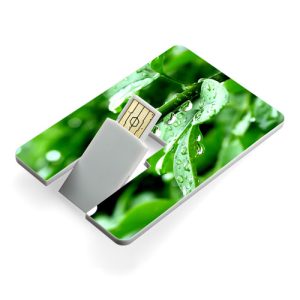 Memoria USB de 16 GB para tarjetas de crédito