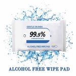 Non-Alcohol Disposable Disinfecting Wet Wipes