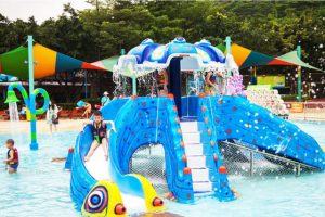 Peralatan Taman Air Anak-anak Seluncuran Air Fiberglass 8000x8000mm
