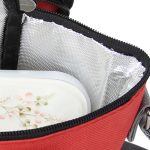 Stylish insulated lunch bag design